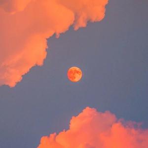 大J8在线播放国产
