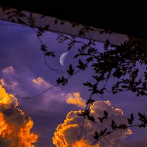 大J8在线播放国产
